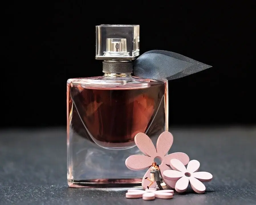 بهترین عطر خنک زنانه؛ قبل از انتخاب این نکات را ببینید