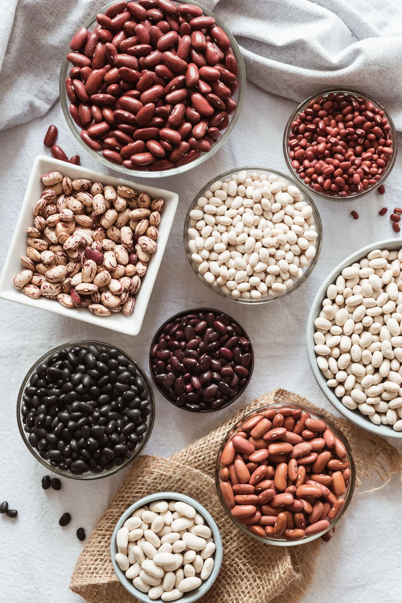 بهترین کنسرو لوبیا؛ گزینه‌های مناسب را چطور انتخاب کنیم؟