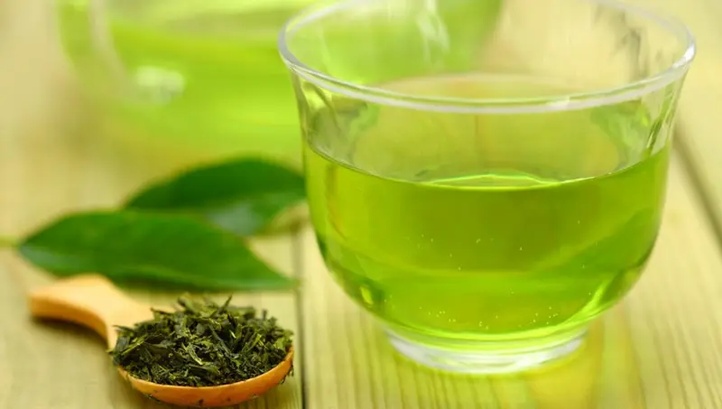 راهنمای انتخاب چای سبز؛ نکات مهمی که باید بدانید