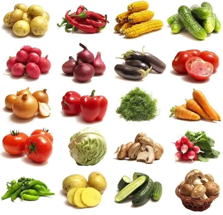 بهترین سبزیجات برای خورشت؛ نکات خرید و انتخاب هوشمندانه
