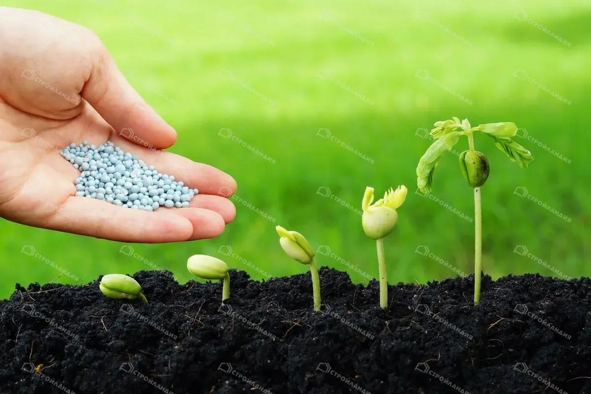 خرید کود؛ راهنمای انتخاب کود مناسب برای گیاهان و اشتباهاتی که باید بشناسید