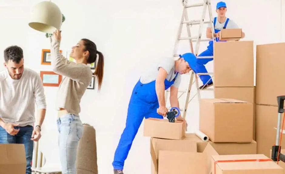 اقتصاد خدمات چیست و چرا سهم خدمات در اقتصادهای توسعه‌یافته بالاست؛ راهنمای کامل و کاربردی